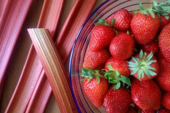 recette fraise rhubarbe