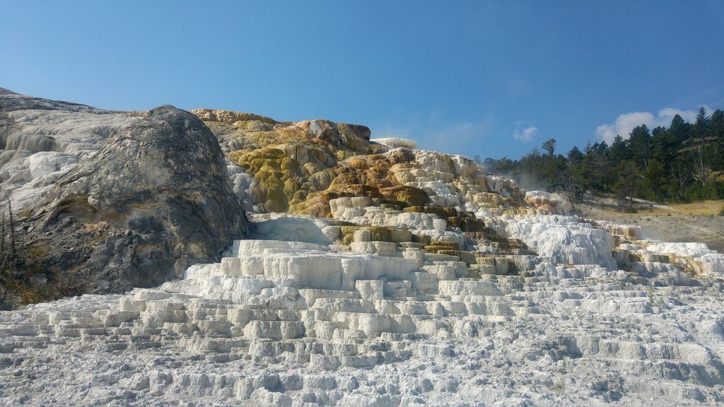 terrasse mammoth hot springs