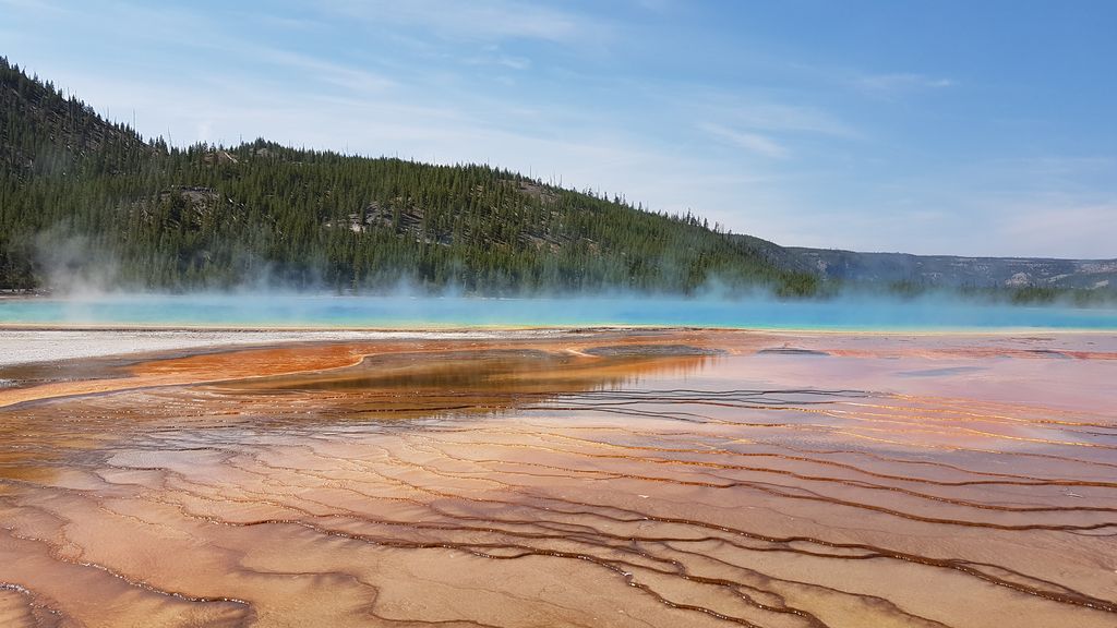 top yellowstone parc usa