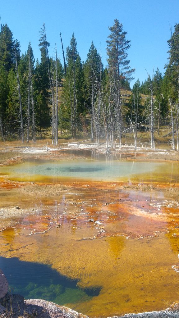 tourisme à yellowstone