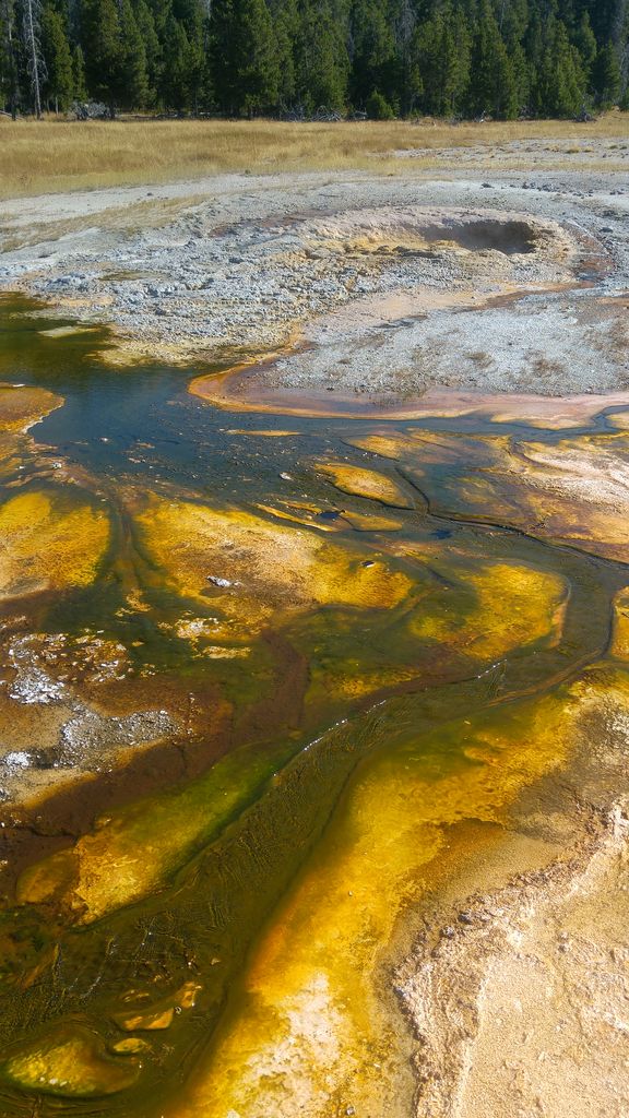 yellowstone paysage