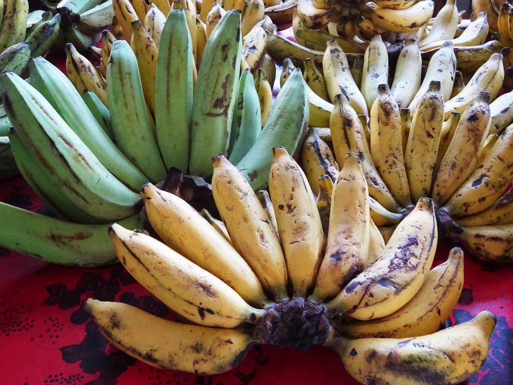 bananes sanur pasar sindu