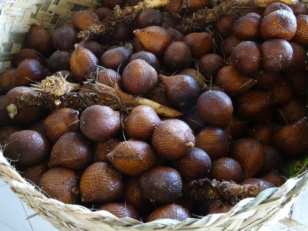 salak fruit pasar sindu market