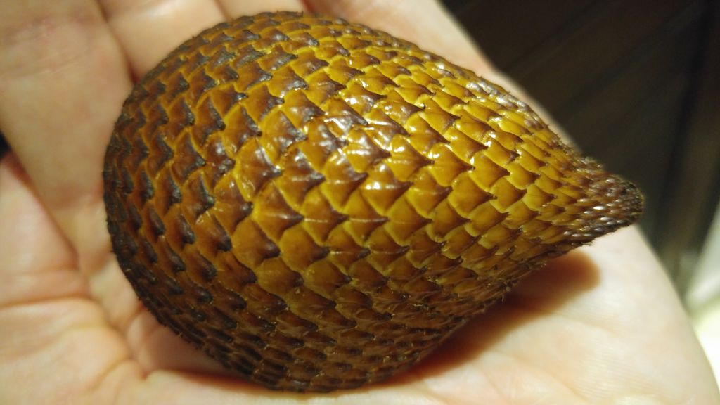 salak snake fruit bali