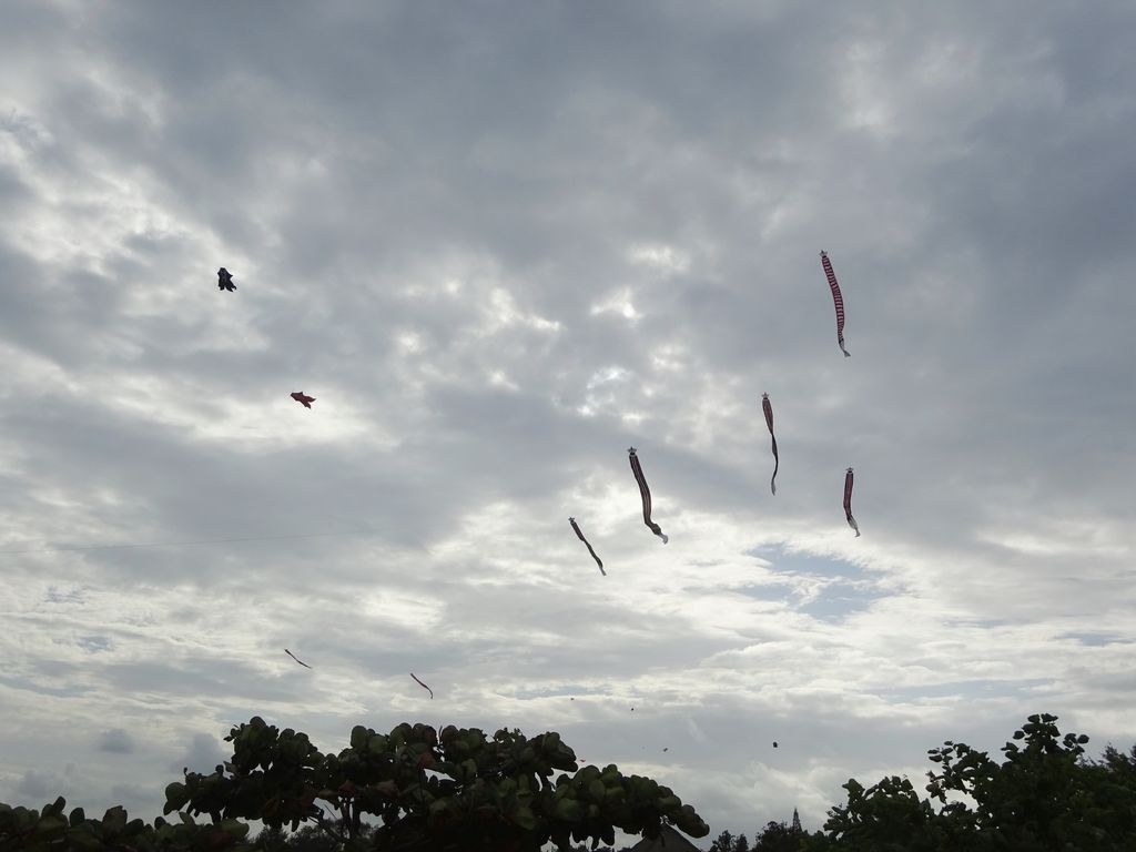 sanur cerf-volant plage