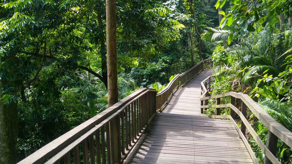 balade dans la foret ubud