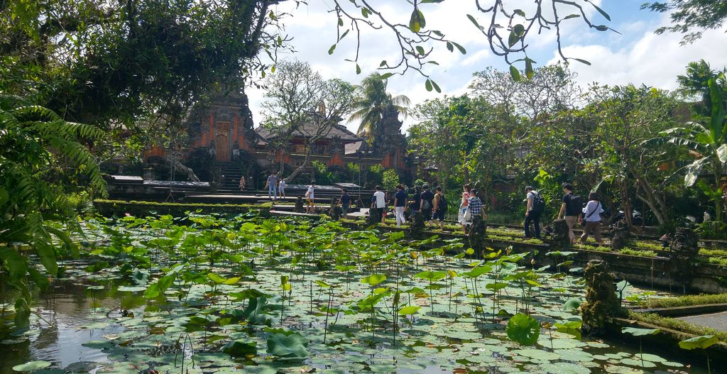 temple de l'eau ubud