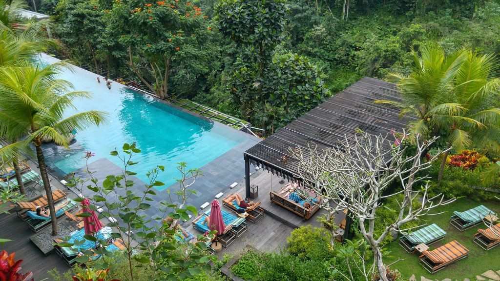 piscine jungle fish vue du restaurant