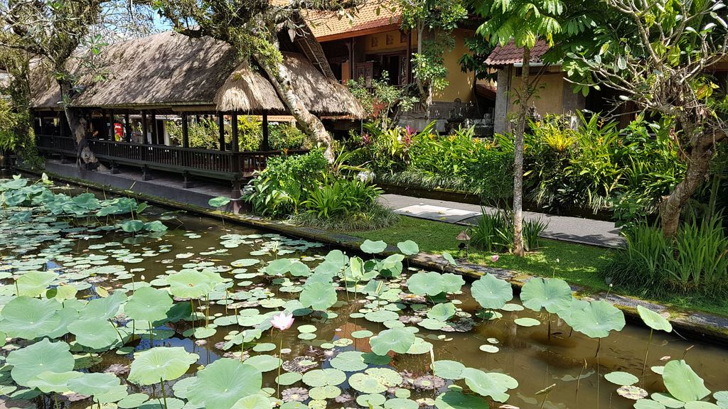 bassin du water palace ubud