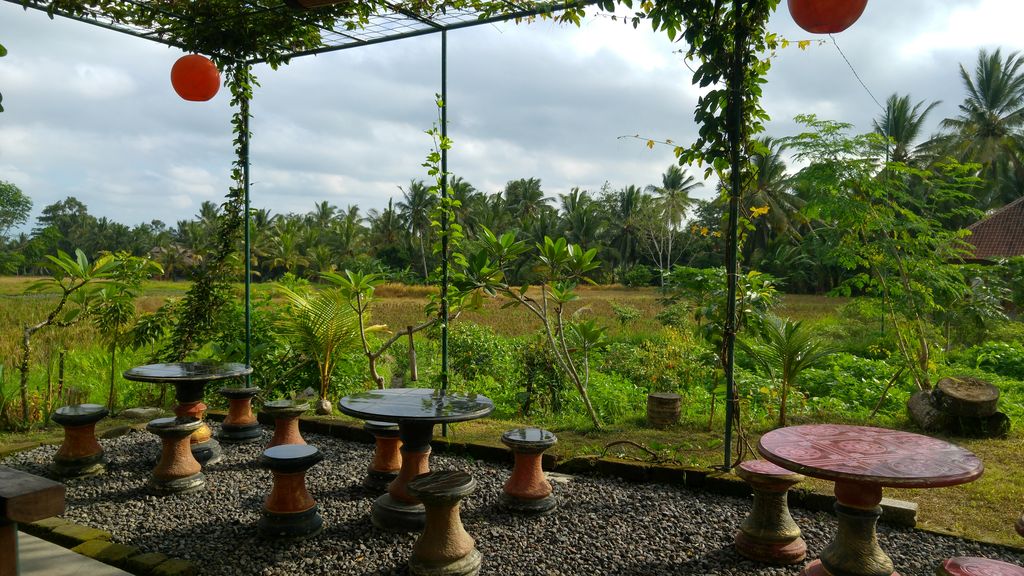 sweet orange warung dans les rizieres d'ubud