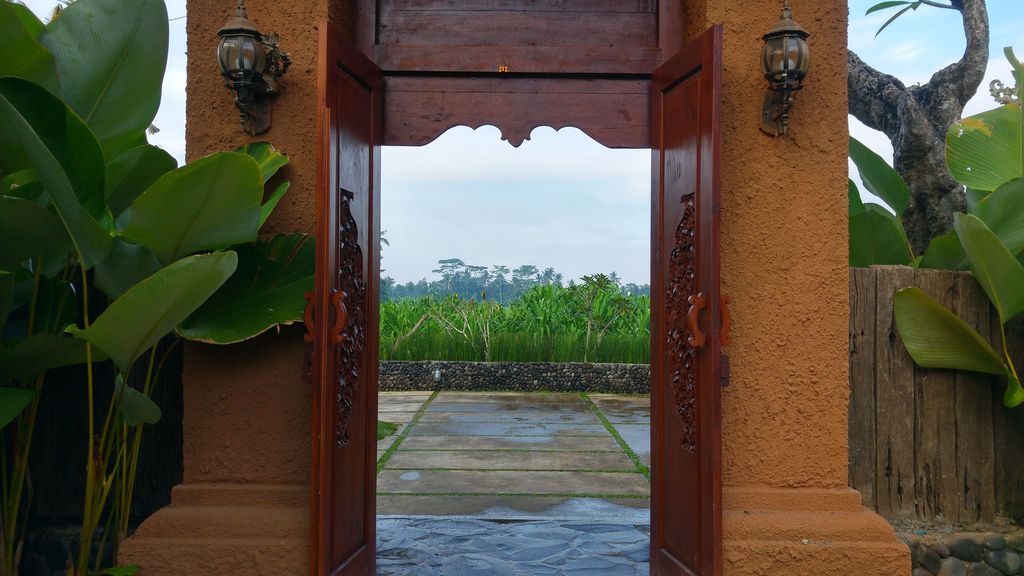 vue sur les rizieres a villa lestaru