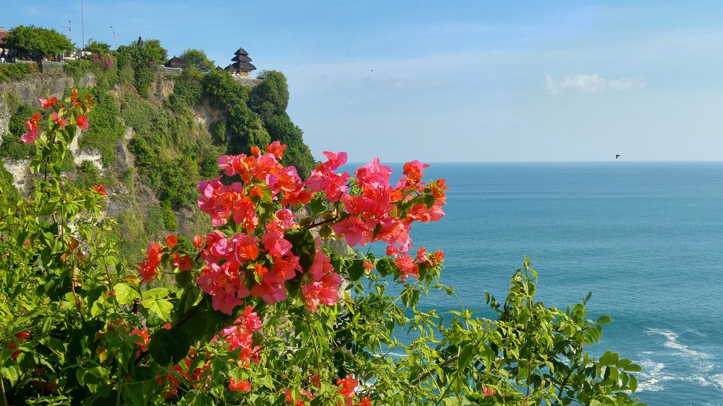 falaise d'uluwatu et mer de bali