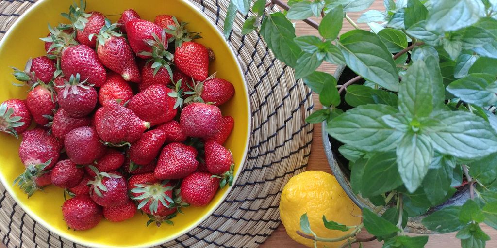 plat de fraises, citron et pot de menthe