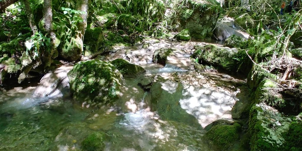 riviere menant à la cascade de la fouge