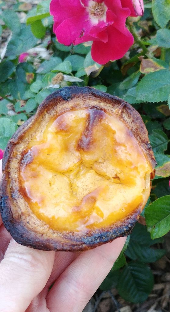 gateau flan portugais