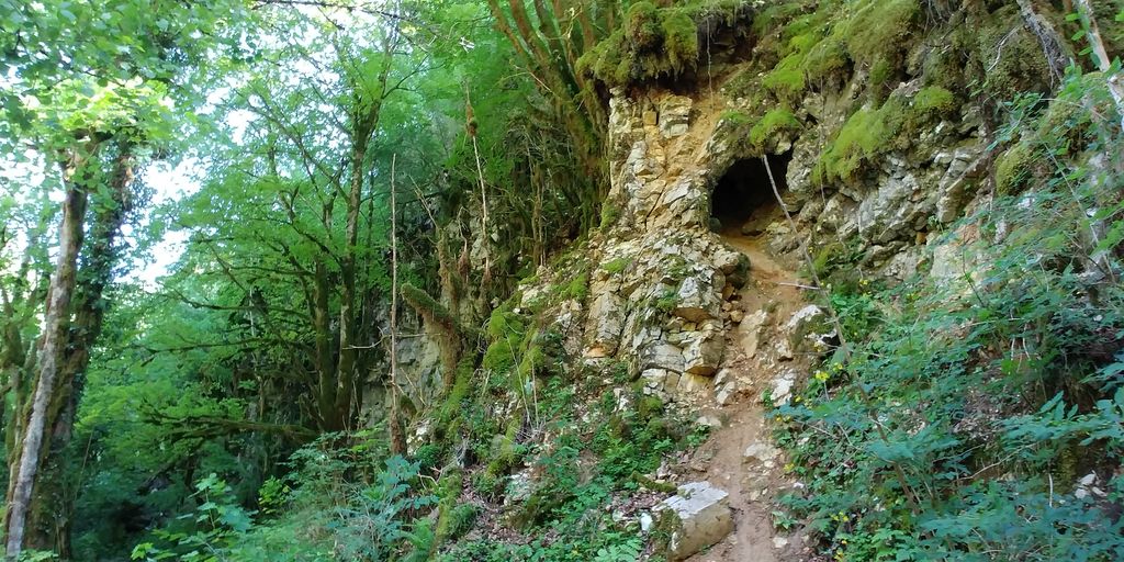 promenade dans le bois de cerdon