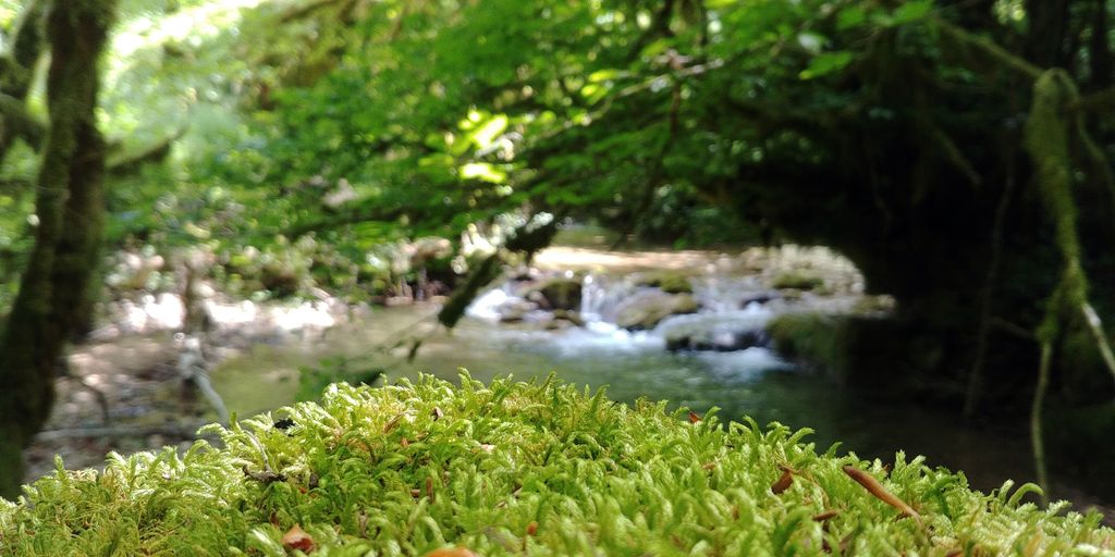 cascade près de lyon