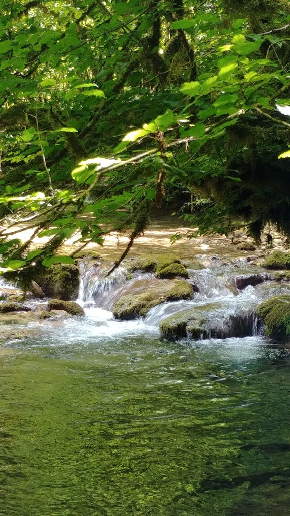 cascade en foret