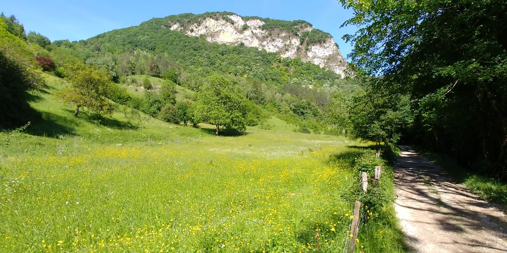 vallée du bugey