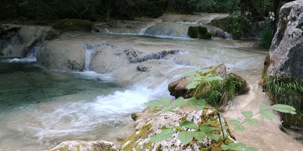 rivière près de lyon