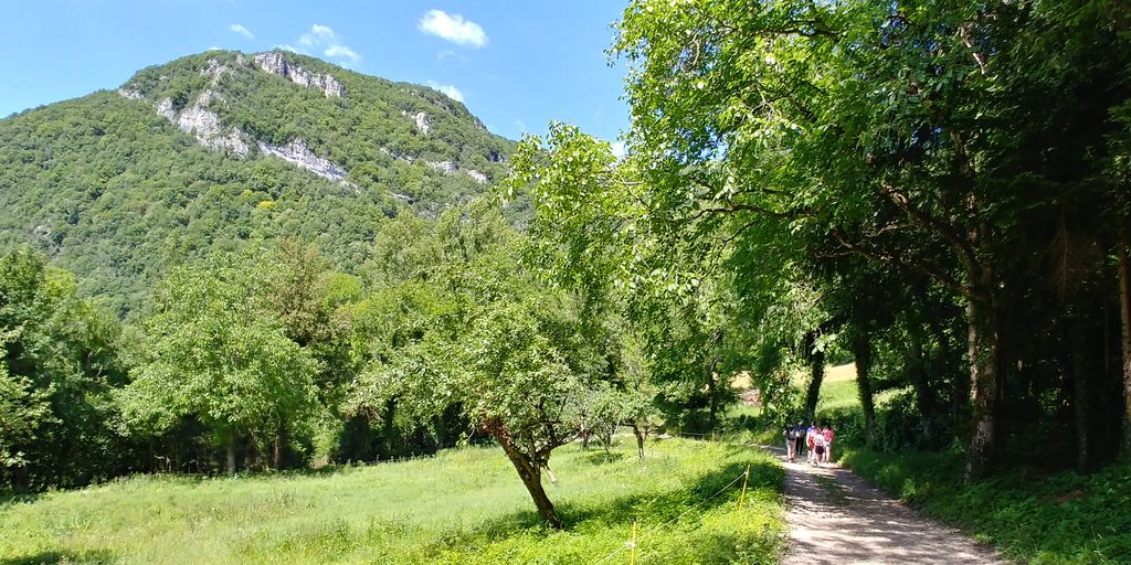 balade dans le bugey