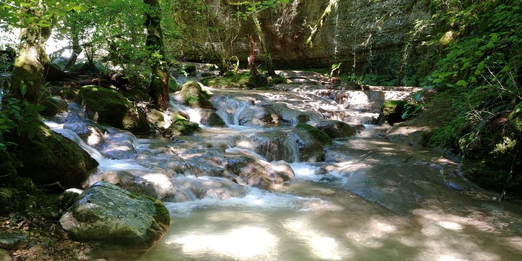 cascade dans la foret