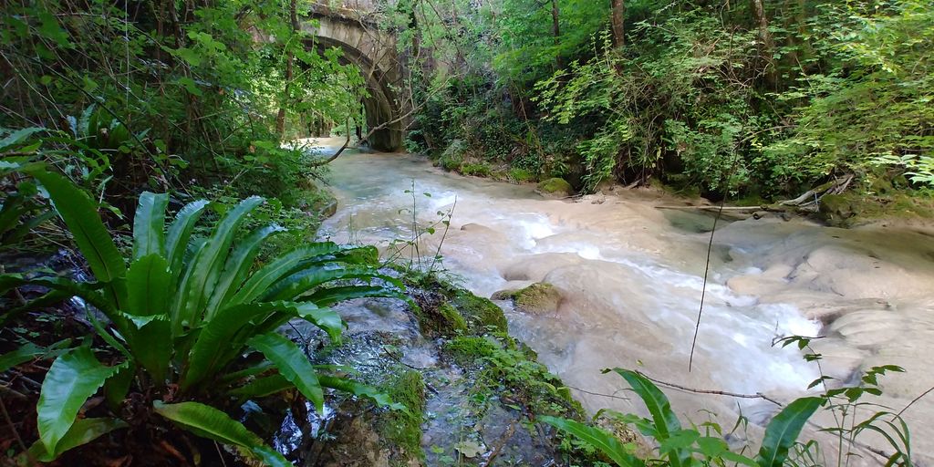 rivière sous un pont de pierre