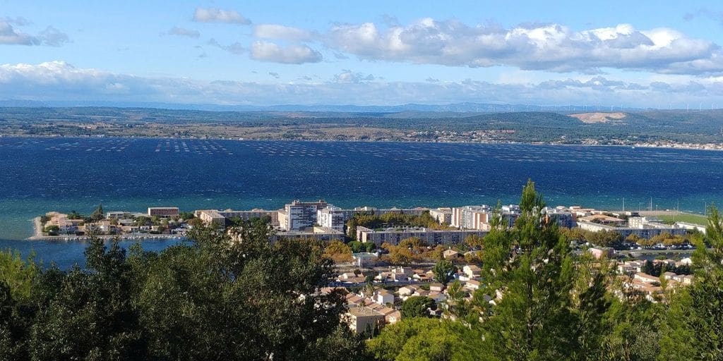 vue de la foret des pierres blanches