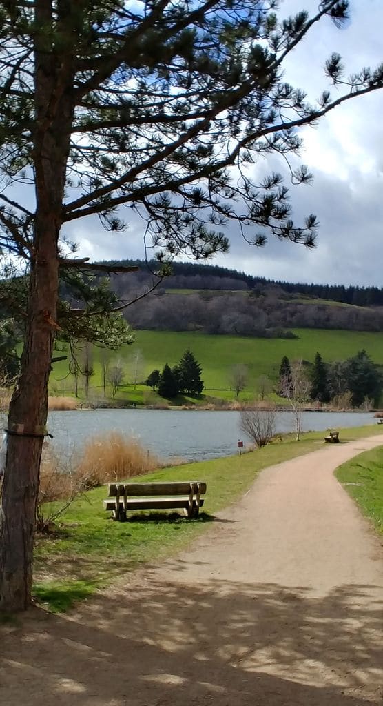 balade-autour-de-lyon-lac-ronzey-2