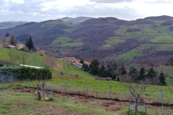 vue panoramique sur les monts du lyonnais