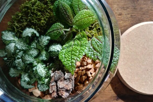 wecandoo-atelier-terrarium-lyon-12