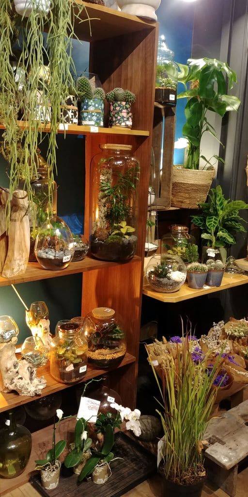 wecandoo-atelier-terrarium-lyon-2