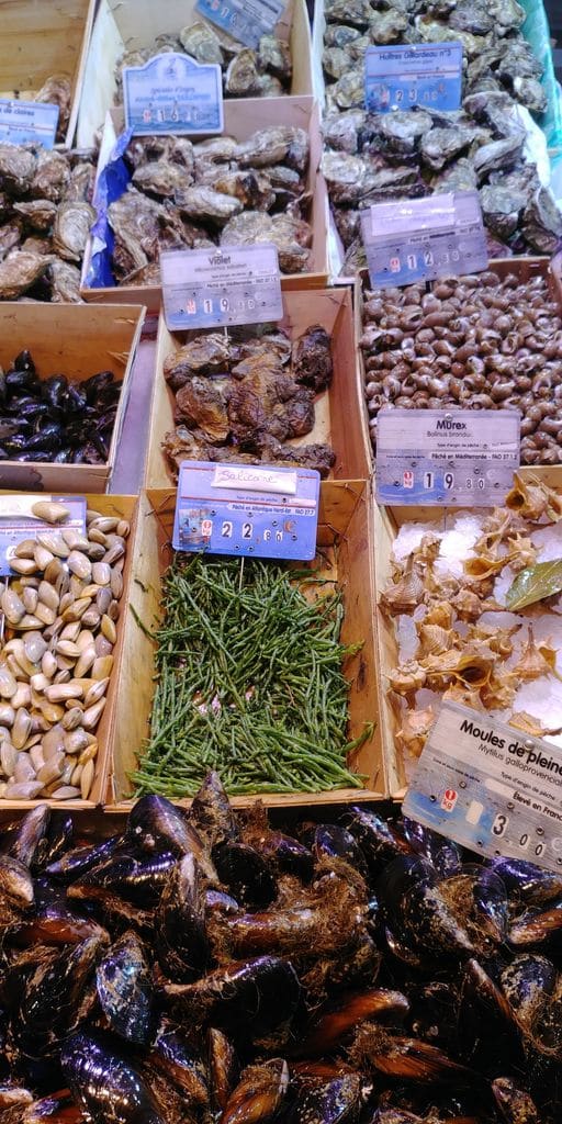 halles-narbonne-fruits-mer