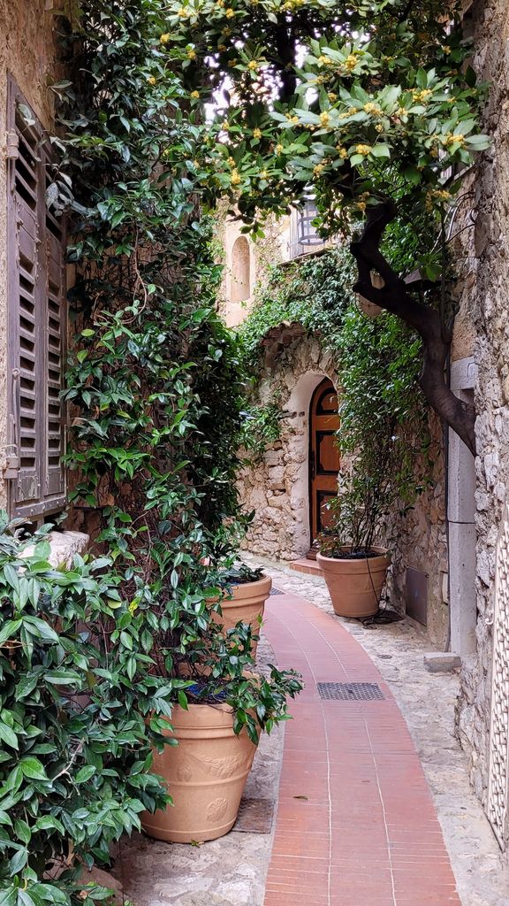 eze-top-village-france