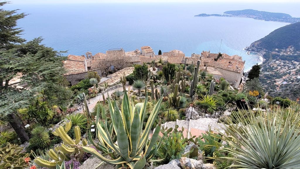 eze-village-cote-azur-cactus