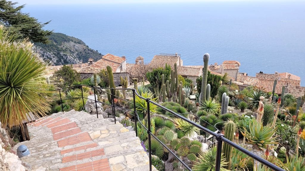 eze-village-jardin-cactus