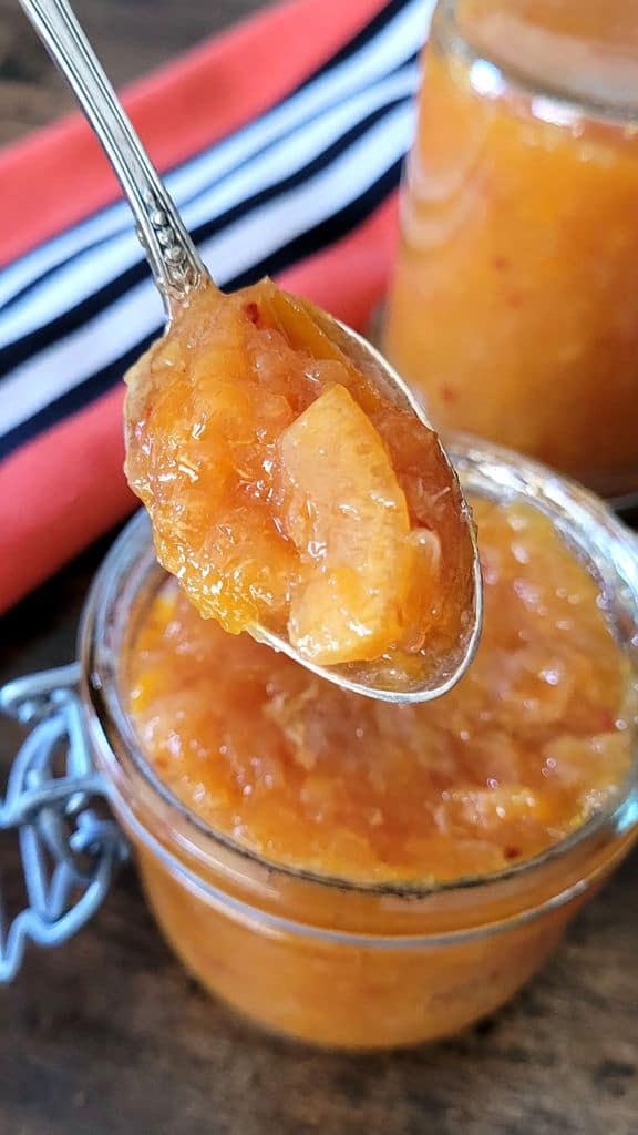 recette-confiture-orange-sanguine-3