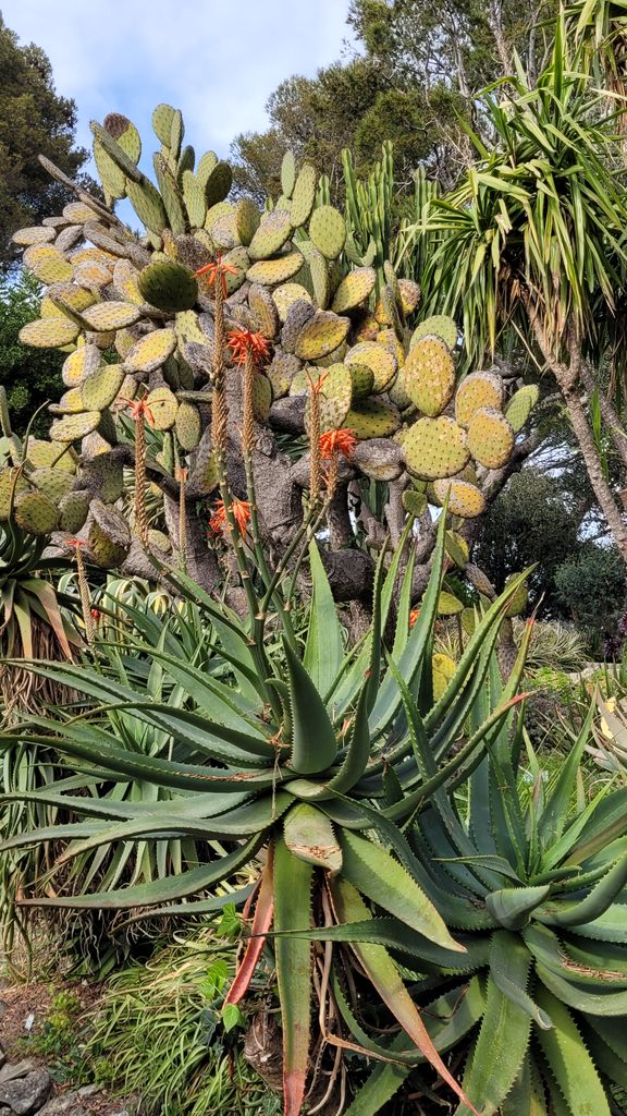 villa-ephrussi-rotschild-jardins-19