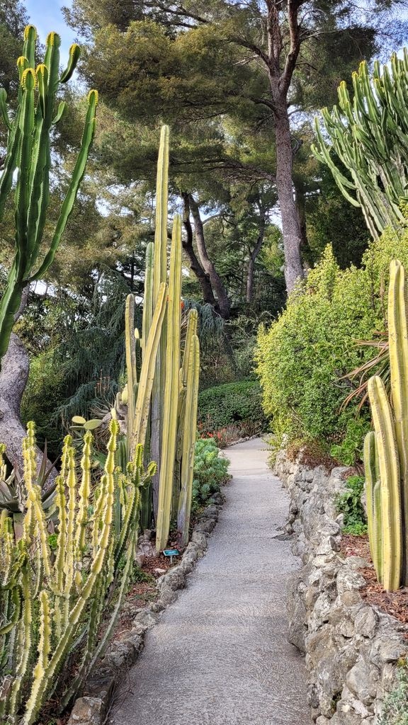 villa-ephrussi-rotschild-jardins-21