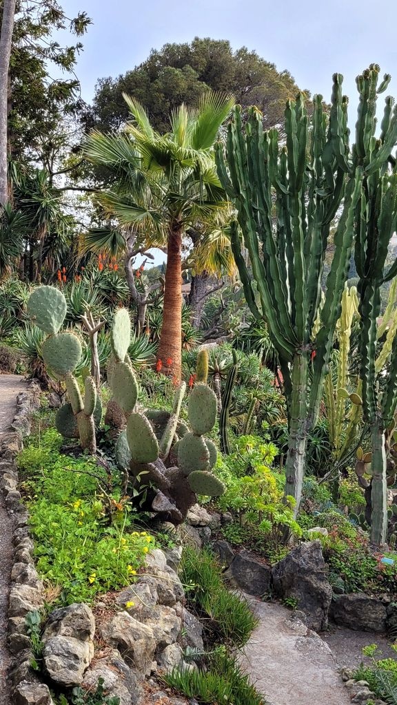 villa-ephrussi-rotschild-jardins-22