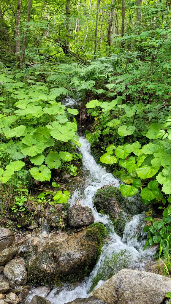 randonnee-lac-lauvitel-alpes-4