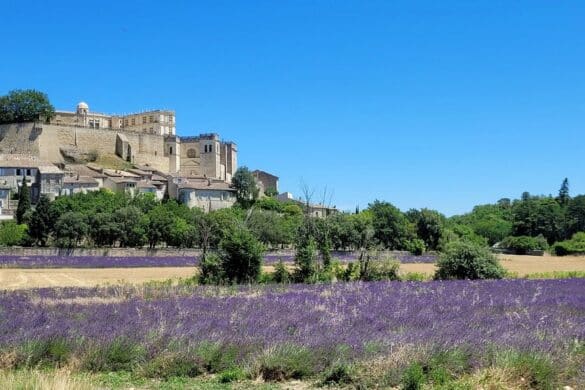 grignan-vue-chateau-champ-lavande