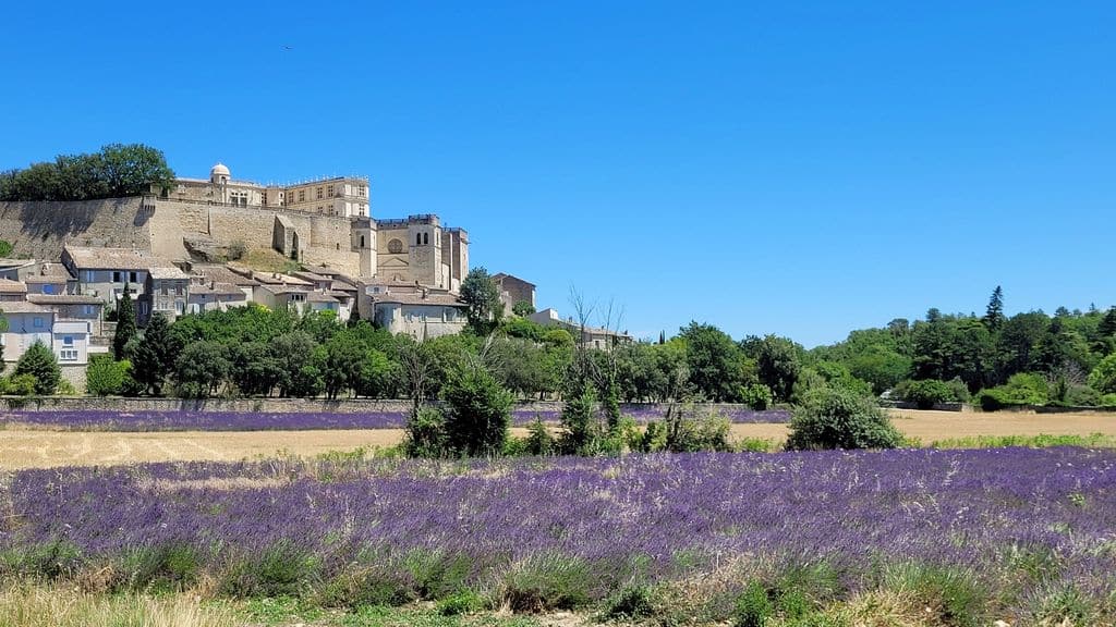 grignan-vue-chateau-champ-lavande