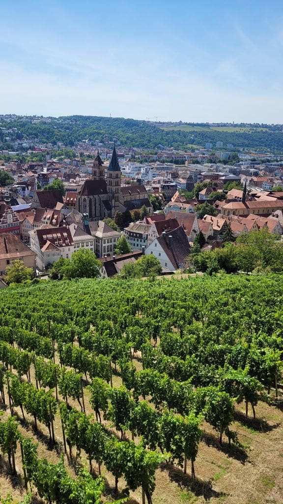 esslingen-allemagne-visite-18