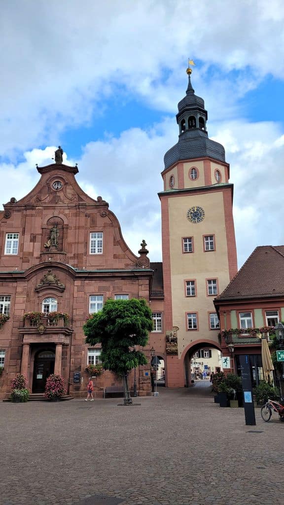 ettlingen-foret-noire-allemagne-10