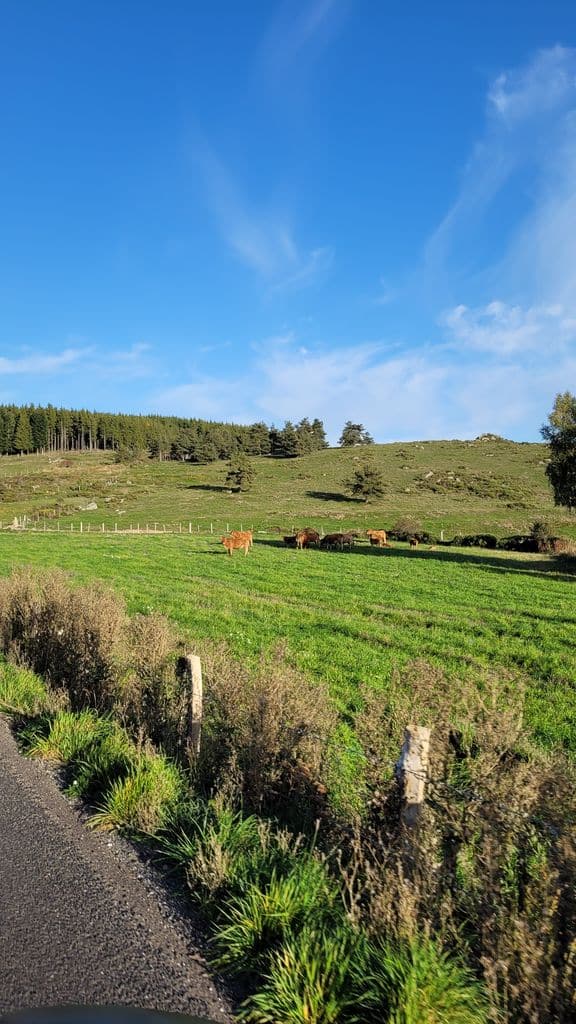 que-voir-faire-en-aubrac