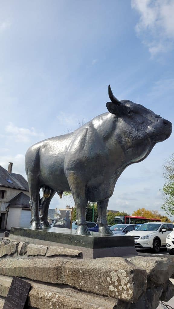 week-end-aubrac-taureau-laguiole