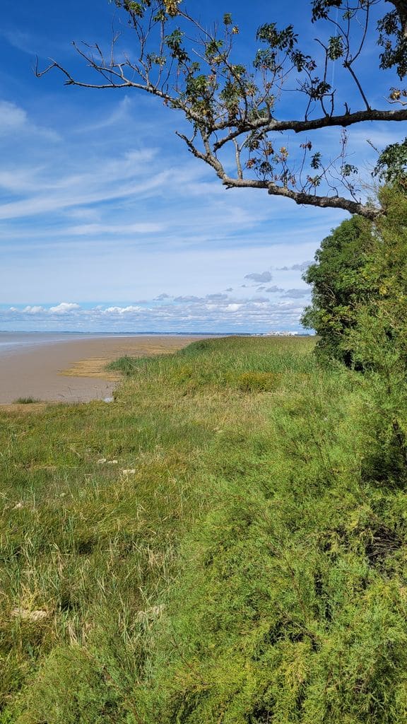 refuge-patiras-ile-estuaire-gironde-21