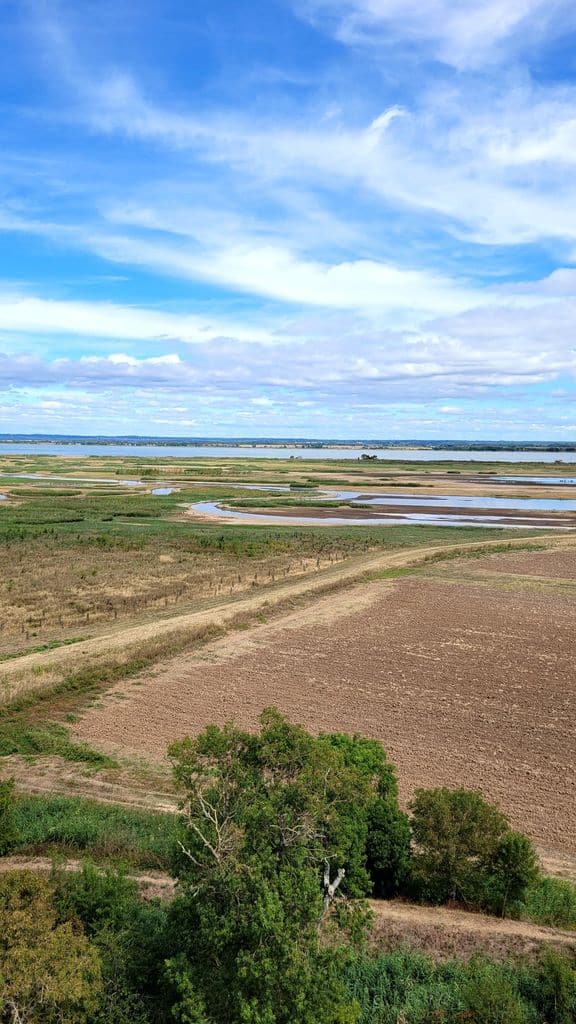 refuge-patiras-ile-estuaire-gironde-8