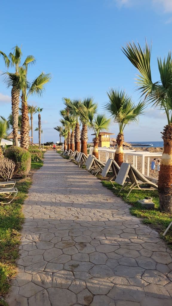 voyage-chypre-aquamare-beach-hotel-paphos-19